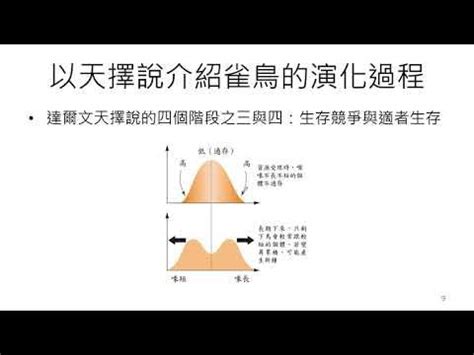 分歧型天擇|【分歧型天擇】分歧型天擇：驅動物種多樣性的演化力量